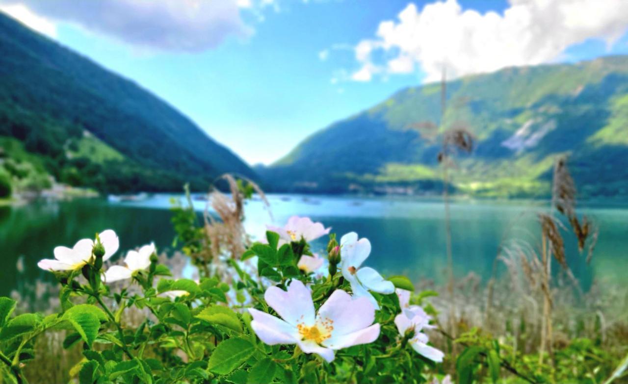 Emozioni Al Lago Farra d'Alpago Eksteriør bilde